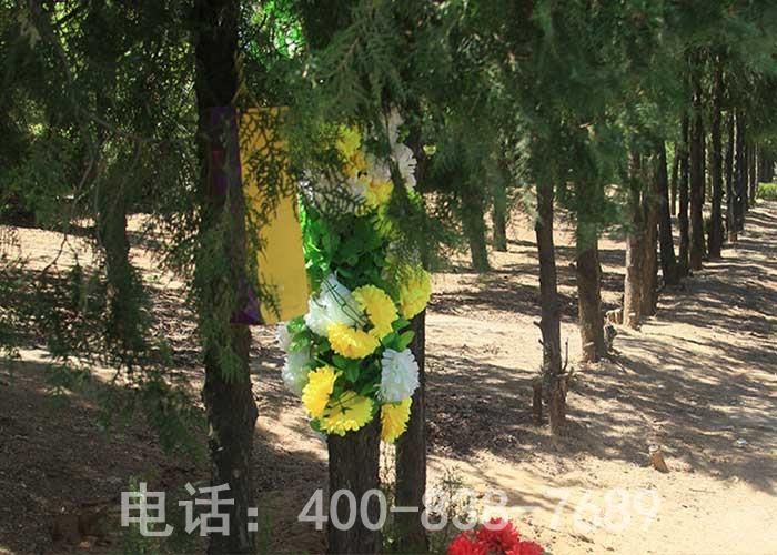 树葬图 树葬图